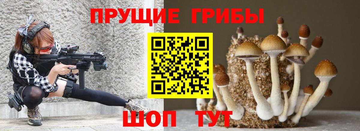 Галлюциногенные грибы мицелий Похвистнево
